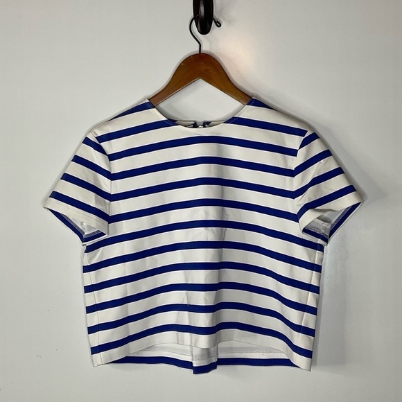 Zara Tops - Zara Blue & White Striped Exposed Zipper Cropped Top Size Large